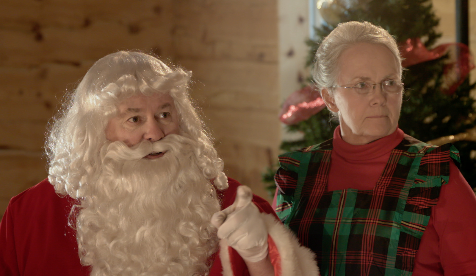 Dennis Haskins and Jean Sheridan in Up on the Wooftop (2015)