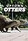 Uptown Otters's primary photo