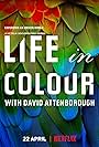 Life in Colour (2021)