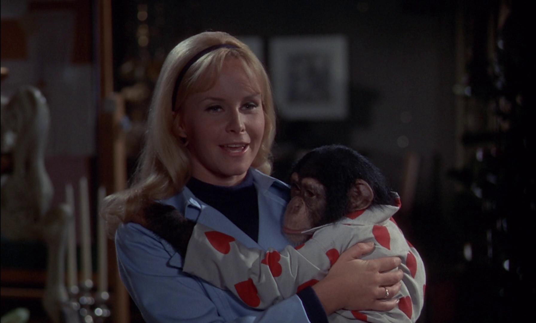 Heather North and Raffles in The Barefoot Executive (1971)