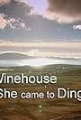 Amy Winehouse: The Day She Came to Dingle (2012)