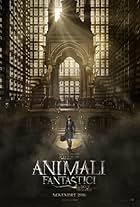 Animali fantastici e dove trovarli