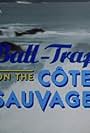 Ball-Trap on the Cote Sauvage (1989)