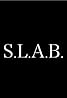 S.L.A.B. (TV Series 2017) Poster