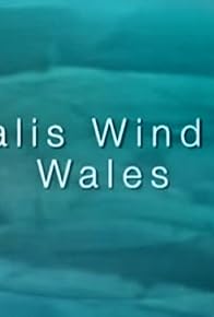 Primary photo for Alltwalis Wind Farm, Wales