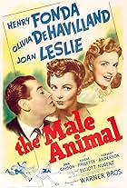 The Male Animal