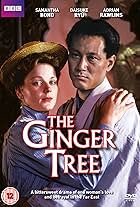 The Ginger Tree