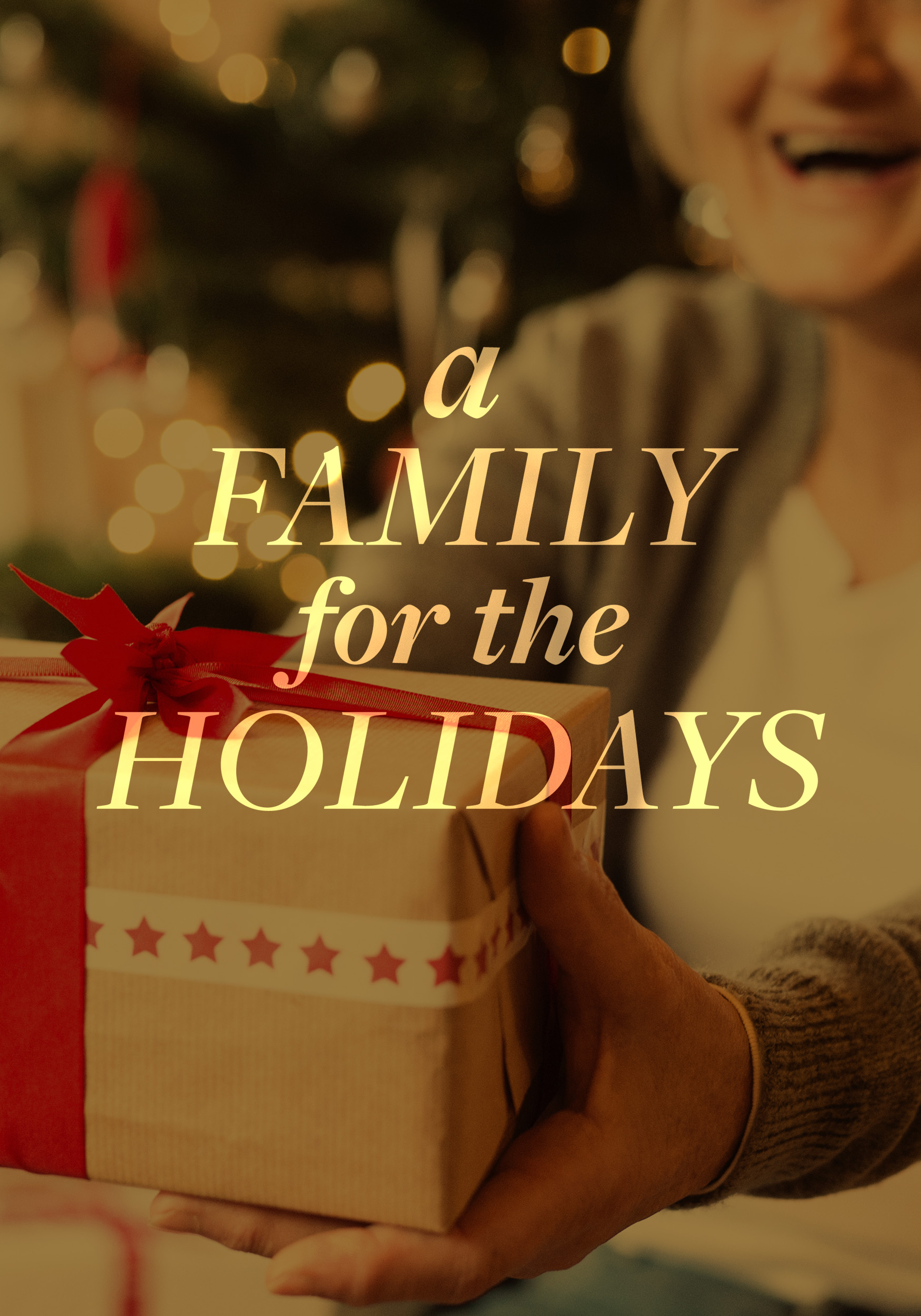 A Family for the Holidays (2017)