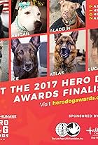 2017 Hero Dog Awards (2017)