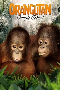 Primary photo for Orangutan Jungle School