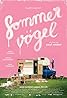 Sommervögel (2010) Poster