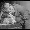 Tommy Rettig and Lassie in Lassie (1954)