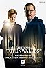 Das Geheimnis des Totenwaldes (TV Mini Series 2020– ) Poster