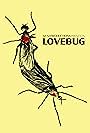 Lovebug (2022)