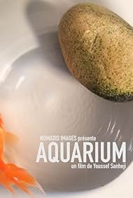 Aquarium (2017)