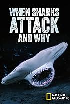 When Sharks Attack... And Why