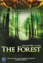 The Forest