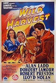 Alan Ladd, Dorothy Lamour, and Robert Preston in Wild Harvest (1947)