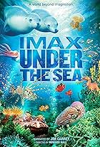 Under the Sea 3D