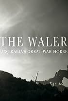 The Waler: Australia's Great War Horse