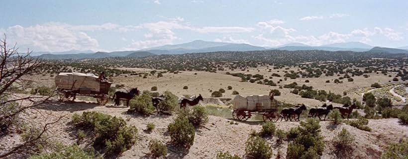 The Man from Laramie (1955)