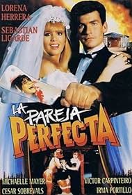 La pareja perfecta (1991)