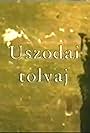 Uszodai tolvaj (2007)