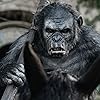 Toby Kebbell in Dawn of the Planet of the Apes (2014)