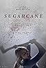 Sugarcane (2024) Poster