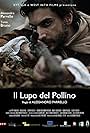 Il lupo del Pollino (2016)