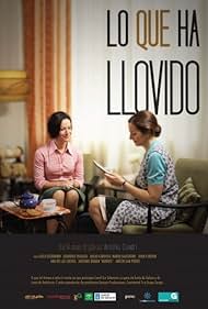 Lo que ha llovido (2011)