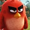 Jason Sudeikis in The Angry Birds Movie (2016)