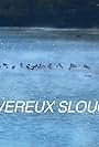 Devereux Slough (2017)