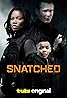 Snatched (2024) Poster