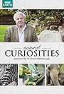 David Attenborough in Natural Curiosities (2013)