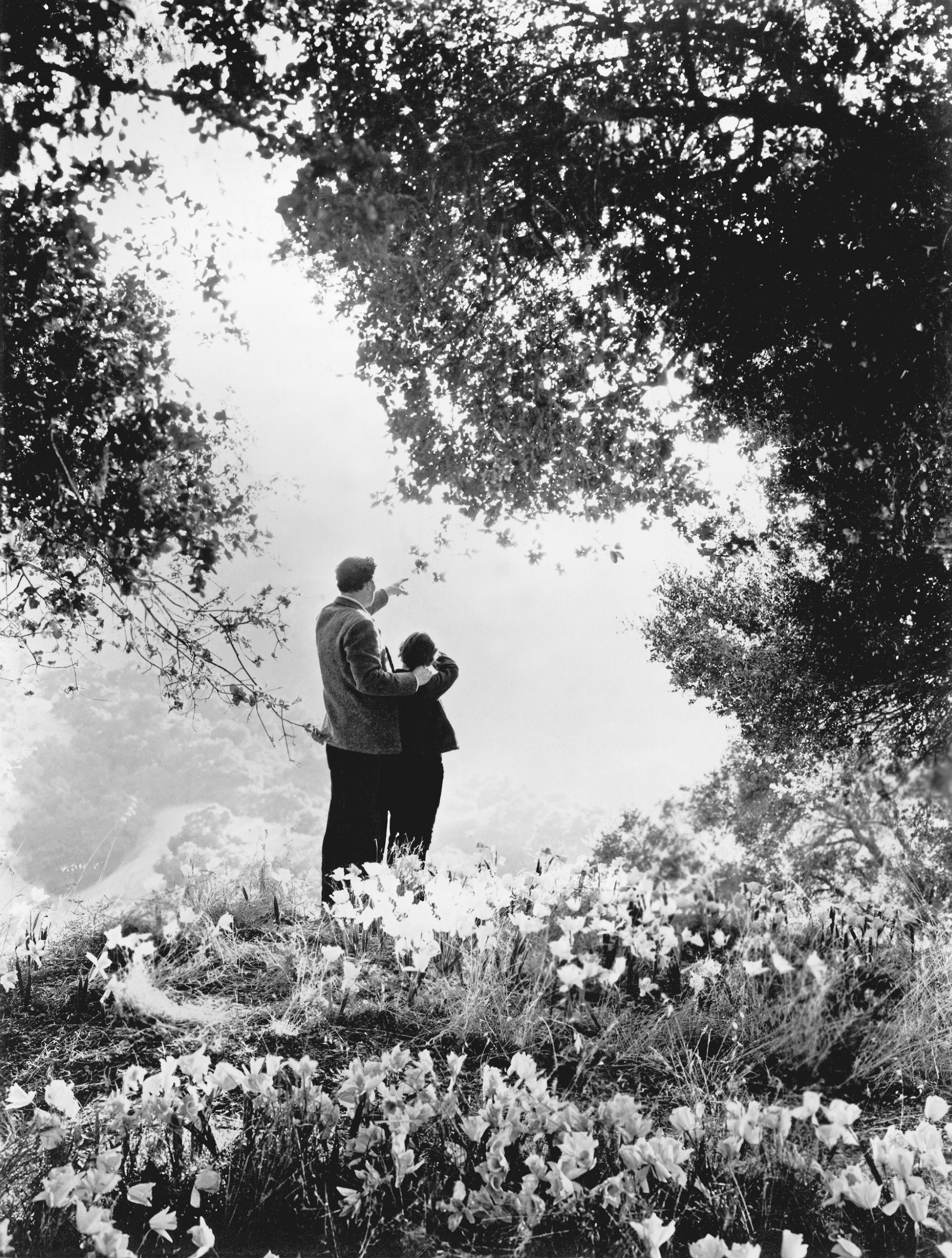 Roddy McDowall and Walter Pidgeon in How Green Was My Valley (1941)