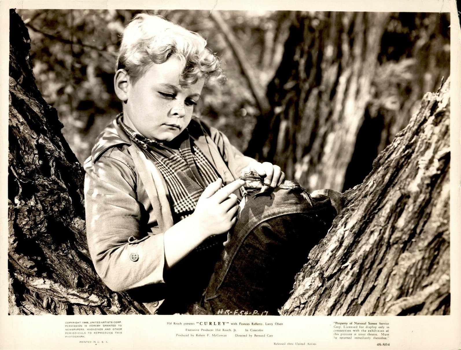 Larry Olsen in Curley (1947)