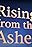 Sudan: Rising from the Ashes