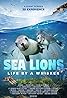 Sea Lions: Life by a Whisker (2020) Poster