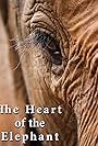 The Heart of the Elephant (2019)