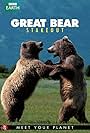 Great Bear Stakeout (2013)