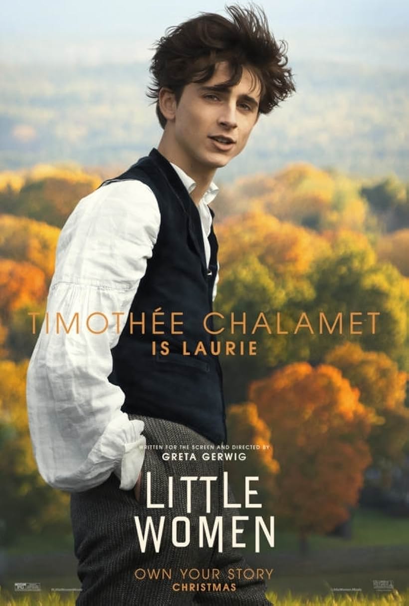 Timothée Chalamet in Little Women (2019)