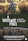 A Thousand Pines (2023)