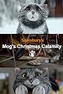 Sainsbury's: Mog's Christmas Calamity (2015)