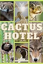 Cactus Hotel