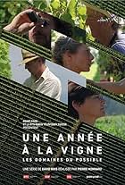 Une Année à la Vigne - Les Domaines du Possible