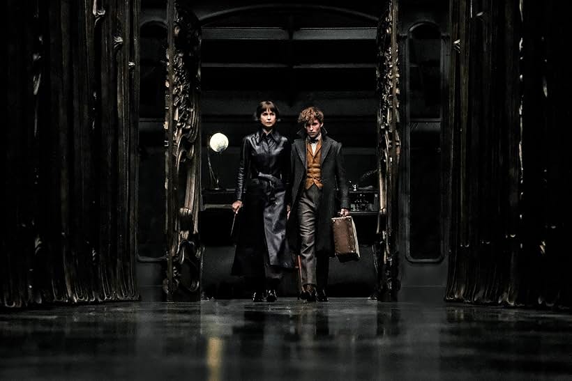 Eddie Redmayne and Katherine Waterston in Fantastic Beasts: The Crimes of Grindelwald (2018)