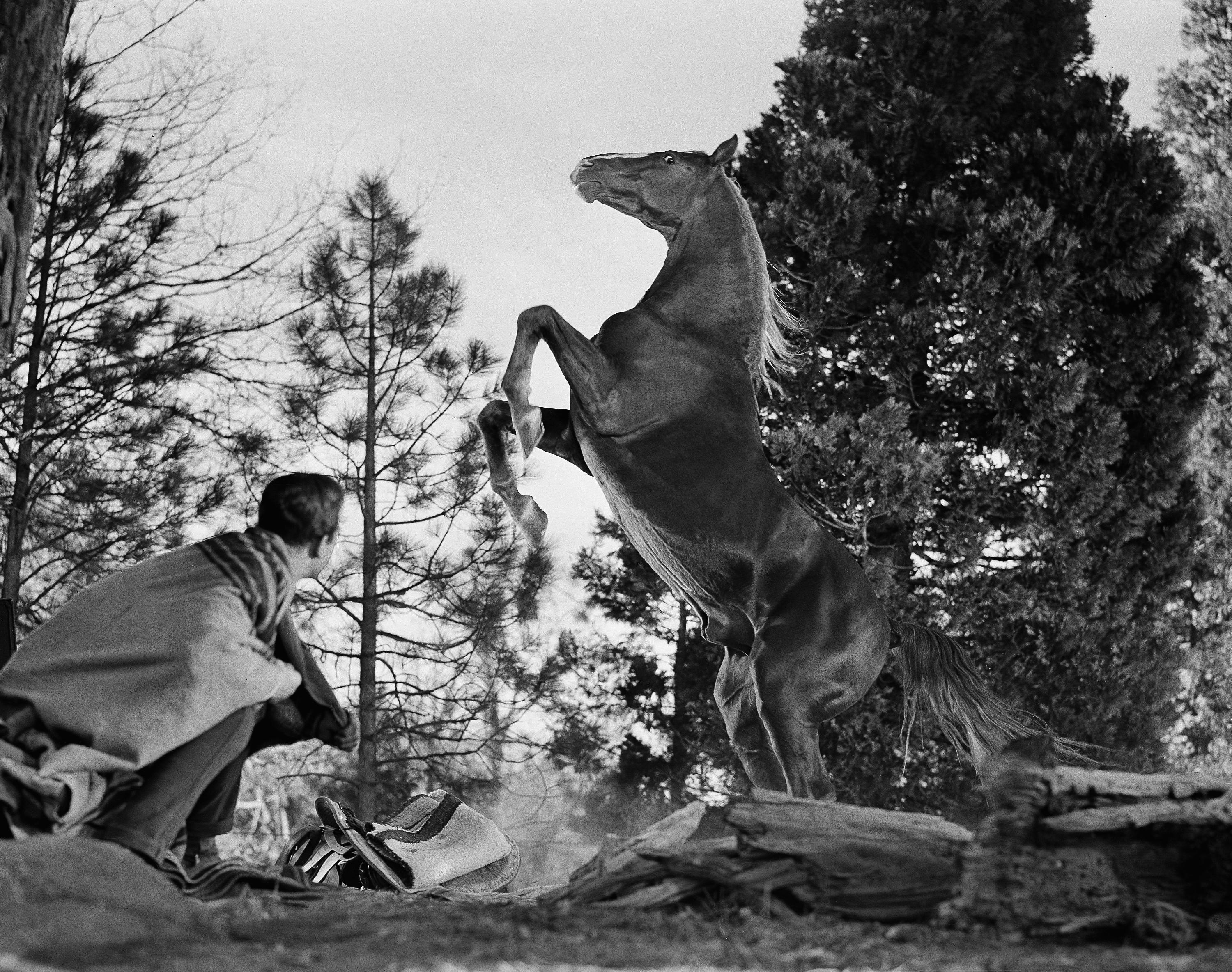 Mark Stevens in Sand (1949)