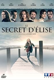 Hélène de Fougerolles, Bruno Salomone, Bénabar, Samir Boitard, Julie De Bona, and Julia Piaton in Le secret d'Elise (2015)