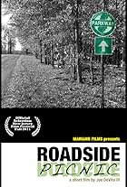 Roadside Picnic